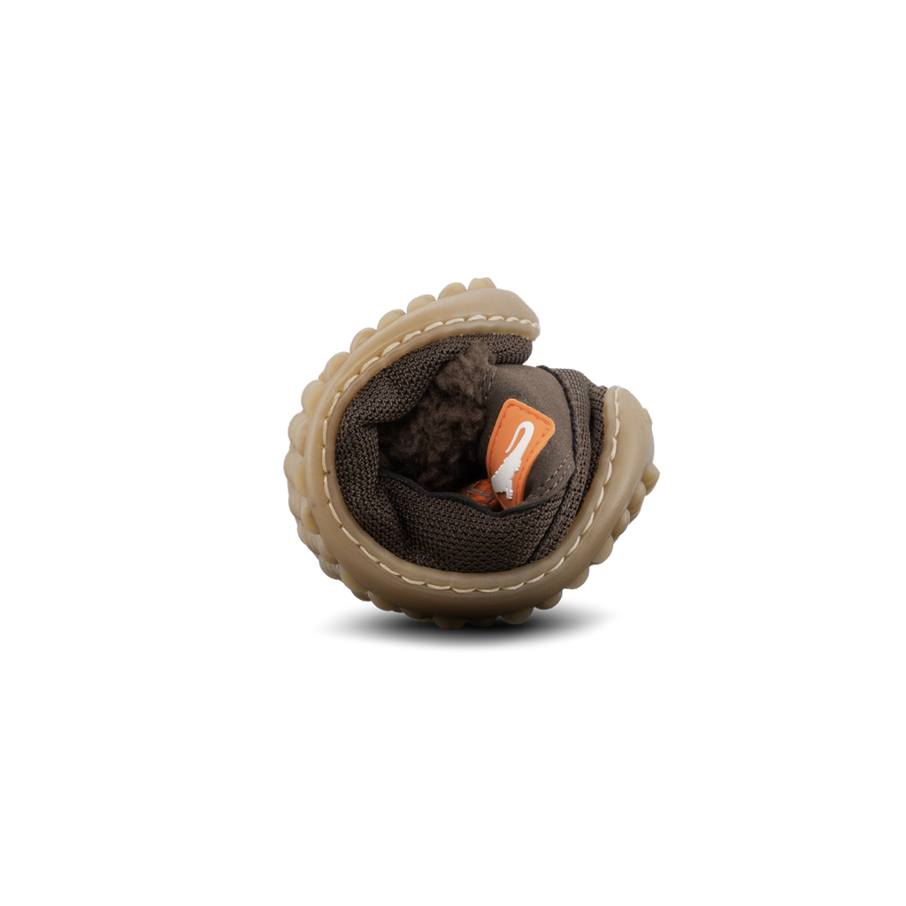 Leguanito nicebare