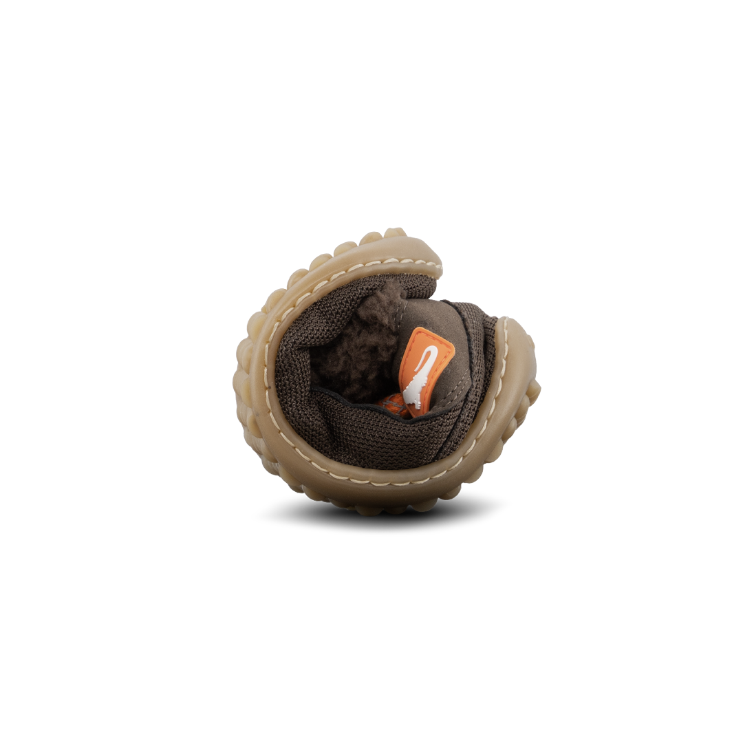 Leguanito nicebare