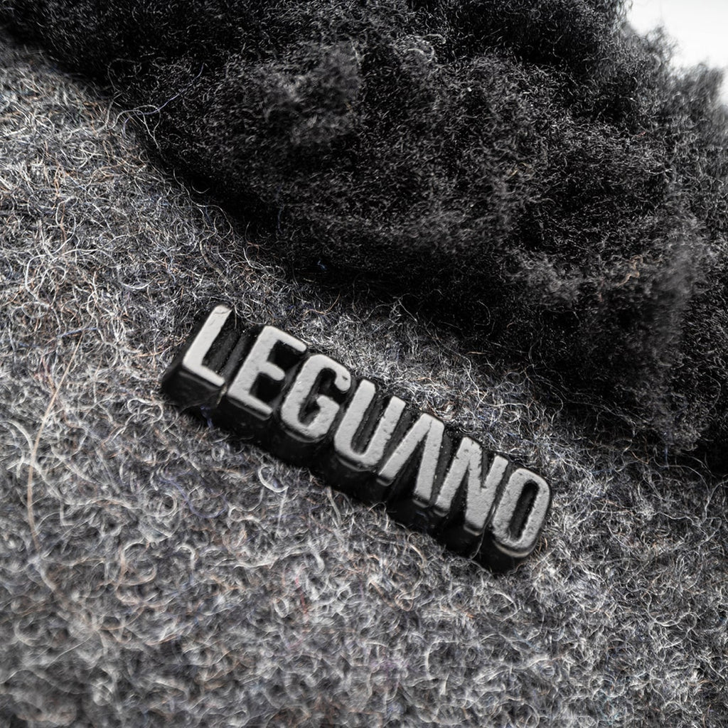 Leguano acasa