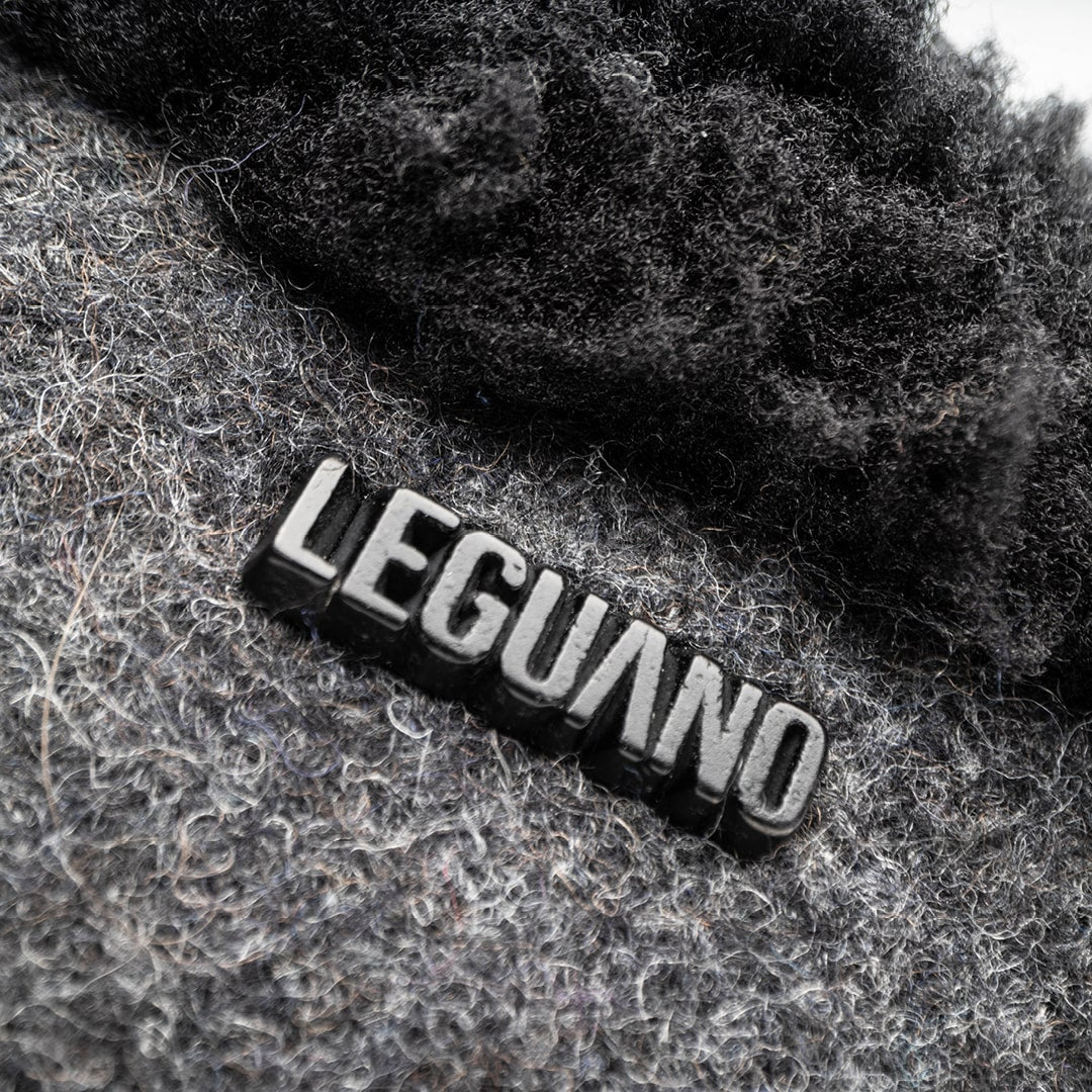 Leguano acasa