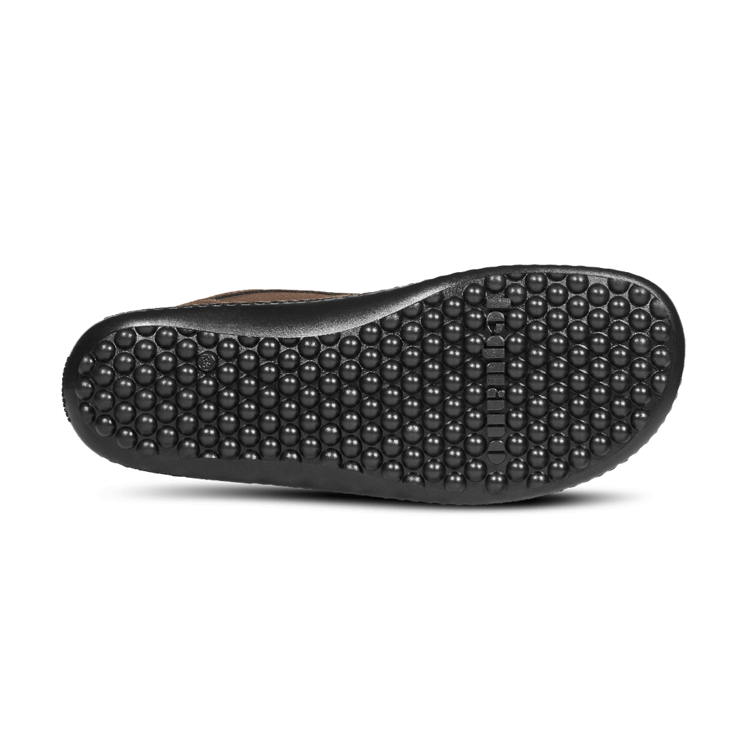 Leguano icebare
