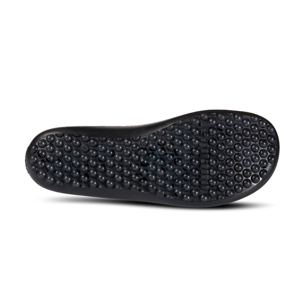 Leguano icebare