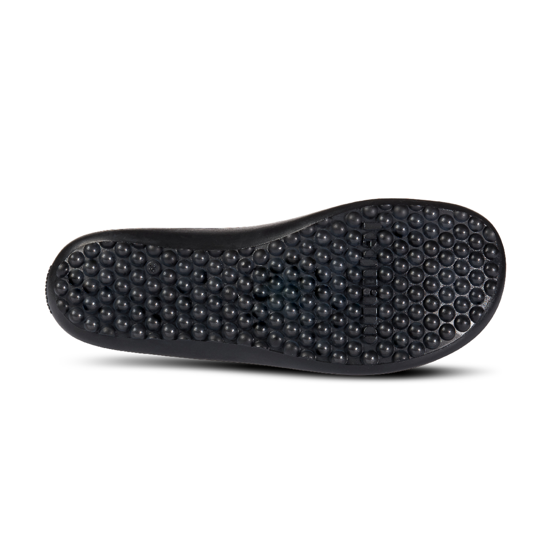 Leguano icebare