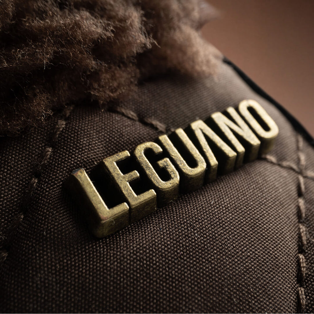 Leguano nicebare