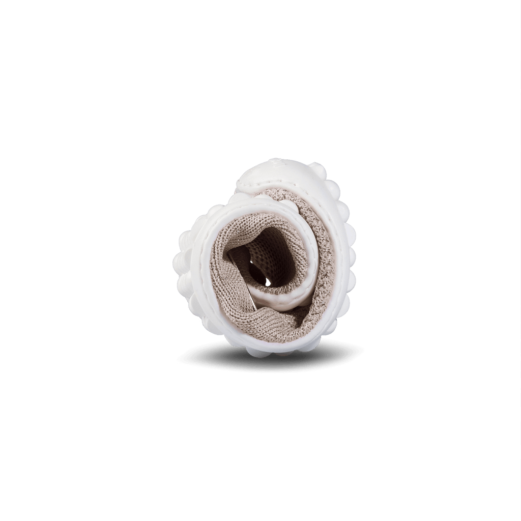 Leguano scio